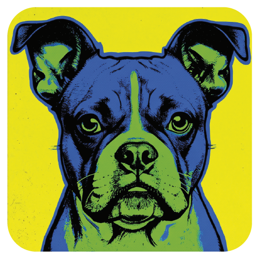 Warhol Boxer 01 — Warhol-style pop art cork coaster