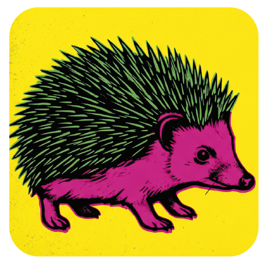 Warhol Hedgehog 01 coaster design